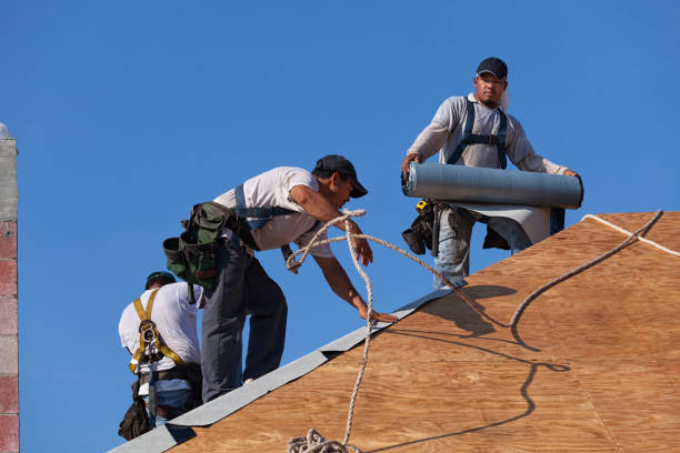 Best Roof Maintenance Services  in Kings Park, VA